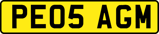 PE05AGM