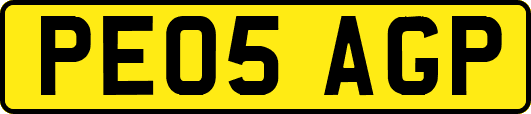 PE05AGP