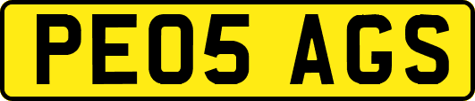 PE05AGS
