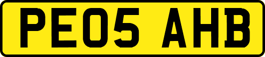 PE05AHB