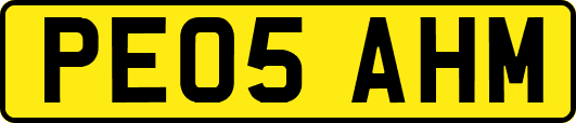 PE05AHM