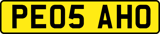 PE05AHO