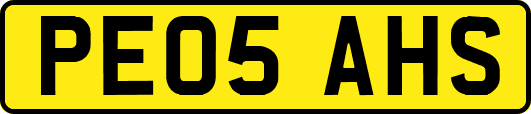 PE05AHS