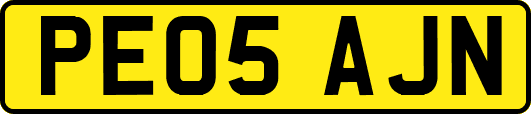 PE05AJN