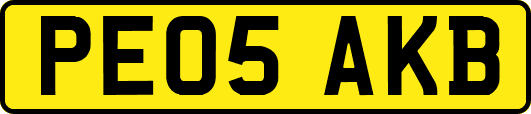 PE05AKB