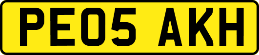 PE05AKH