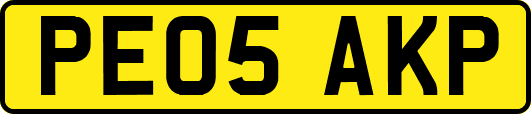 PE05AKP