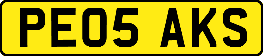 PE05AKS