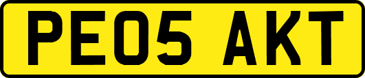 PE05AKT