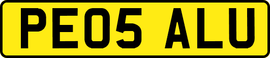 PE05ALU
