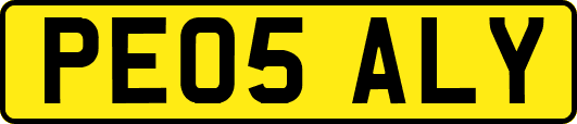 PE05ALY