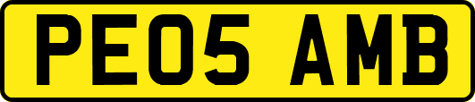 PE05AMB