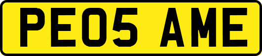 PE05AME