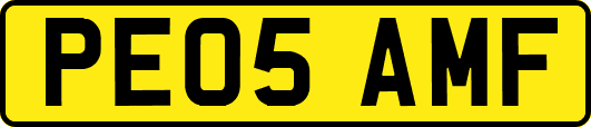 PE05AMF