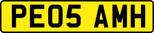 PE05AMH