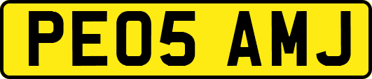 PE05AMJ