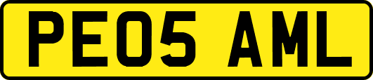 PE05AML