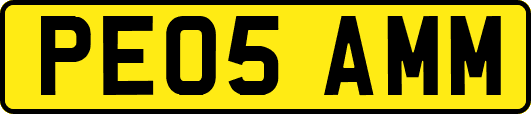 PE05AMM