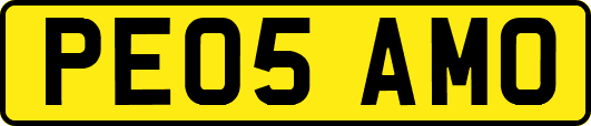PE05AMO