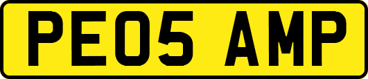 PE05AMP