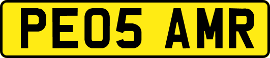 PE05AMR