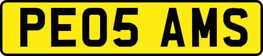 PE05AMS