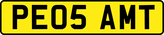 PE05AMT