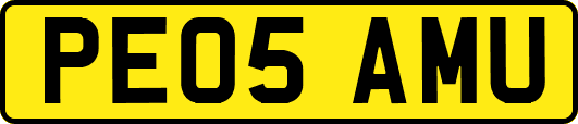 PE05AMU