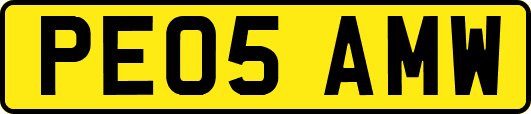 PE05AMW