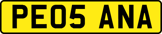PE05ANA