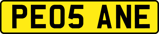 PE05ANE