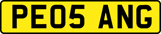 PE05ANG