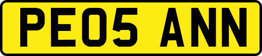 PE05ANN