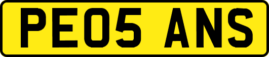 PE05ANS