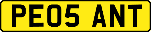 PE05ANT