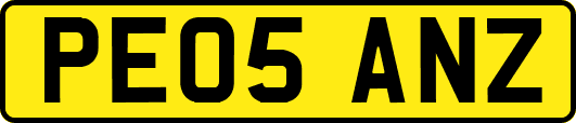 PE05ANZ
