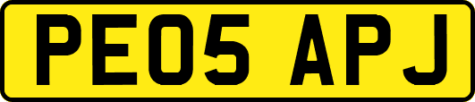 PE05APJ