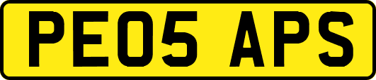 PE05APS