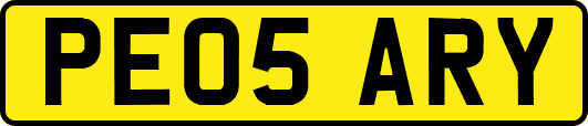 PE05ARY