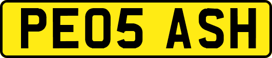 PE05ASH