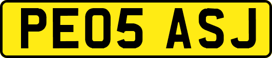 PE05ASJ