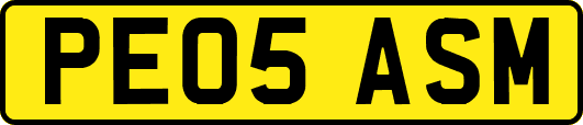 PE05ASM