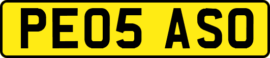 PE05ASO