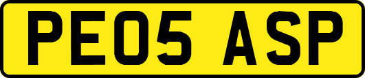 PE05ASP