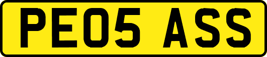 PE05ASS