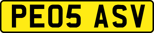 PE05ASV