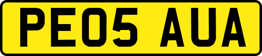 PE05AUA