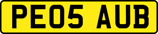 PE05AUB