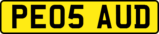PE05AUD