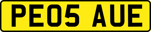 PE05AUE